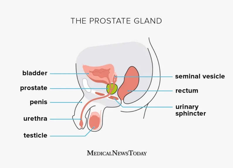 prostat vigrx plus